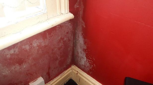 Grim pictures show house disabled cancer patient was forced to live in after Council failings.