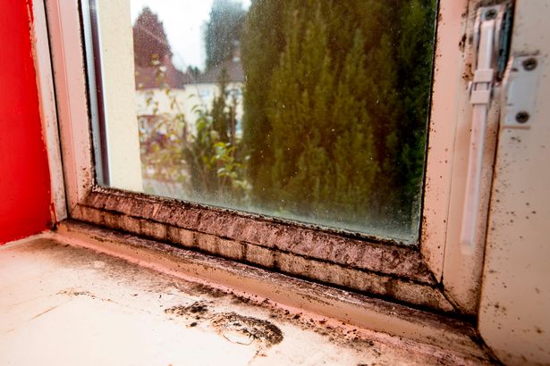 Mould, damp and faults: Are these the worst council houses in Birmingham?